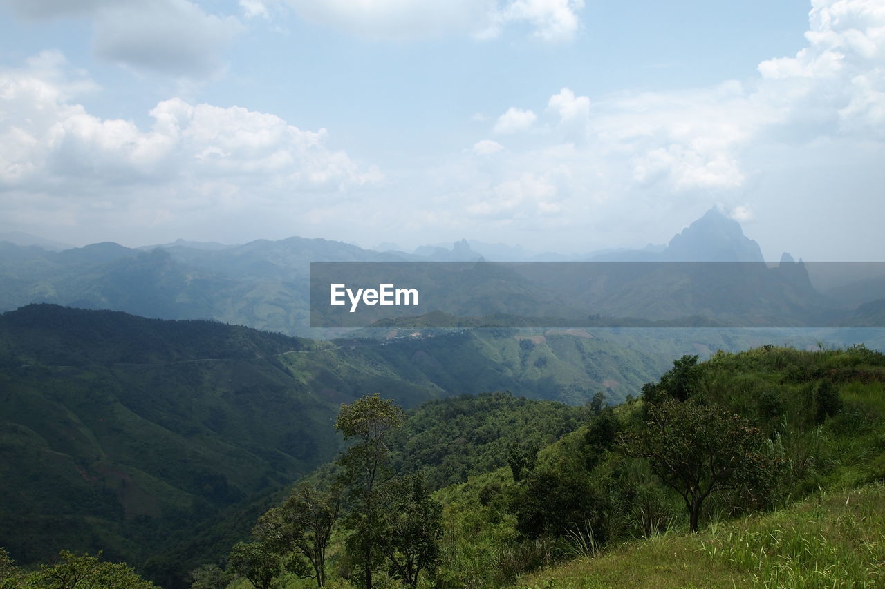 SCENIC VIEW OF TREES AND MOUNTAINS AGAINST SKY