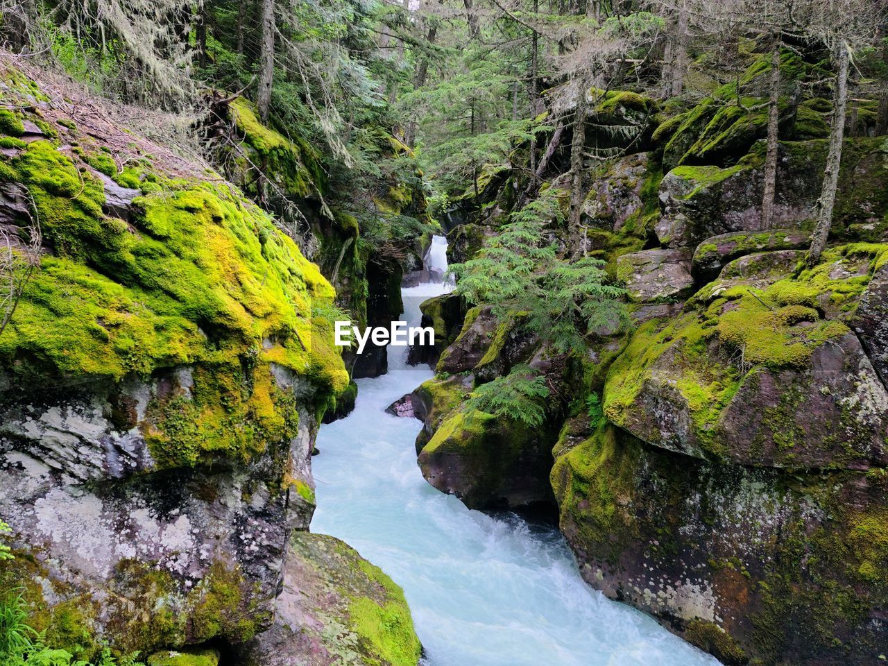 Stream flowing through rocks in forest