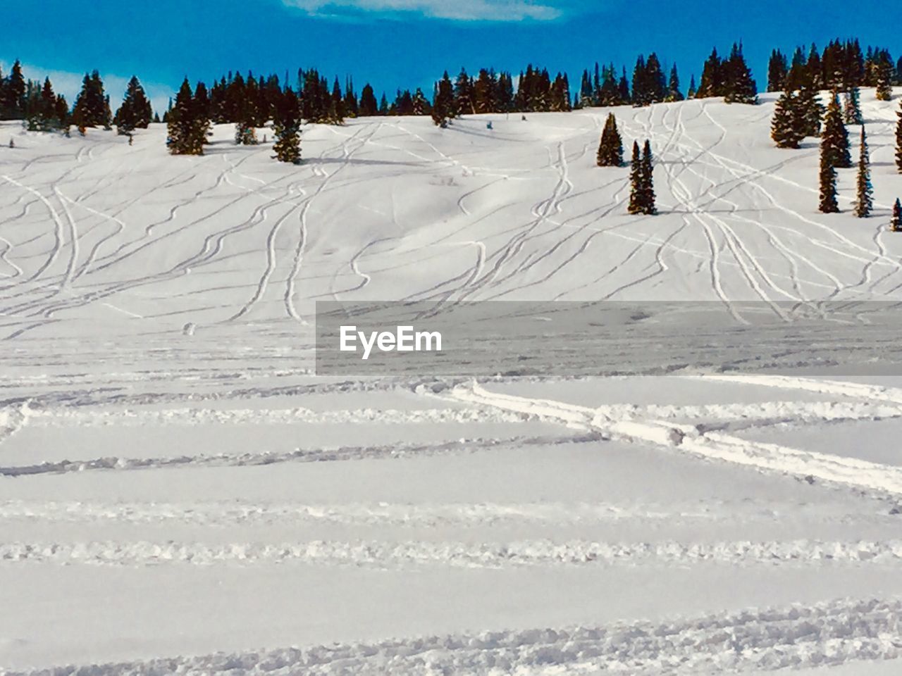 SCENIC VIEW OF SNOW COVERED LAND