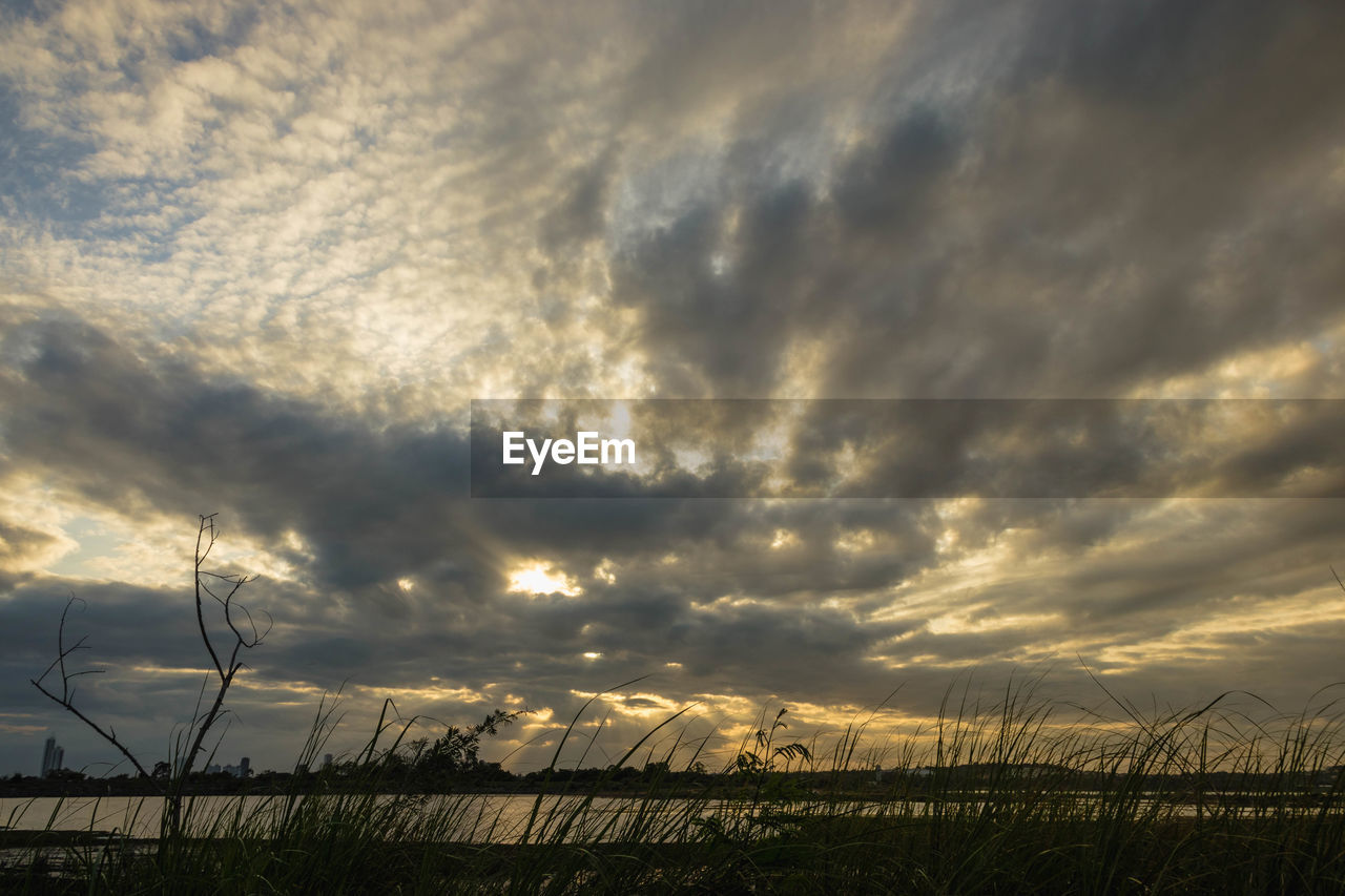 SCENIC VIEW OF FIELD AGAINST CLOUDY SKY