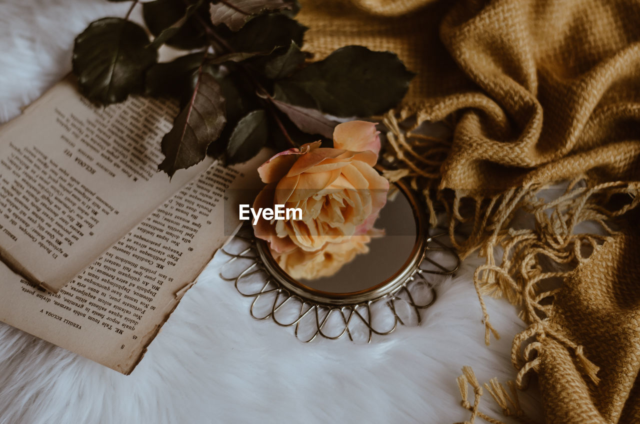 HIGH ANGLE VIEW OF ROSES ON TABLE BY OPEN