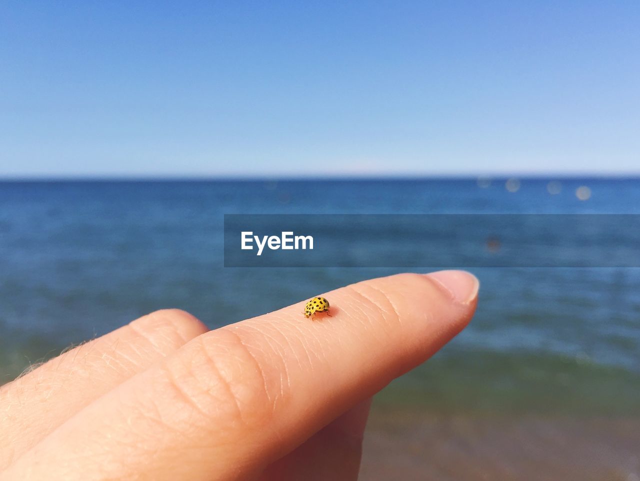 Cropped finger with ladybug against sea