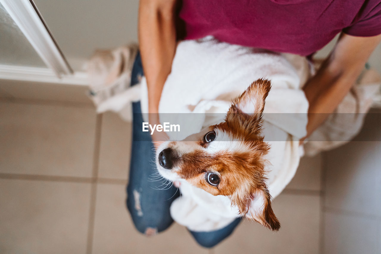 HIGH ANGLE VIEW OF DOG RELAXING AT HOME