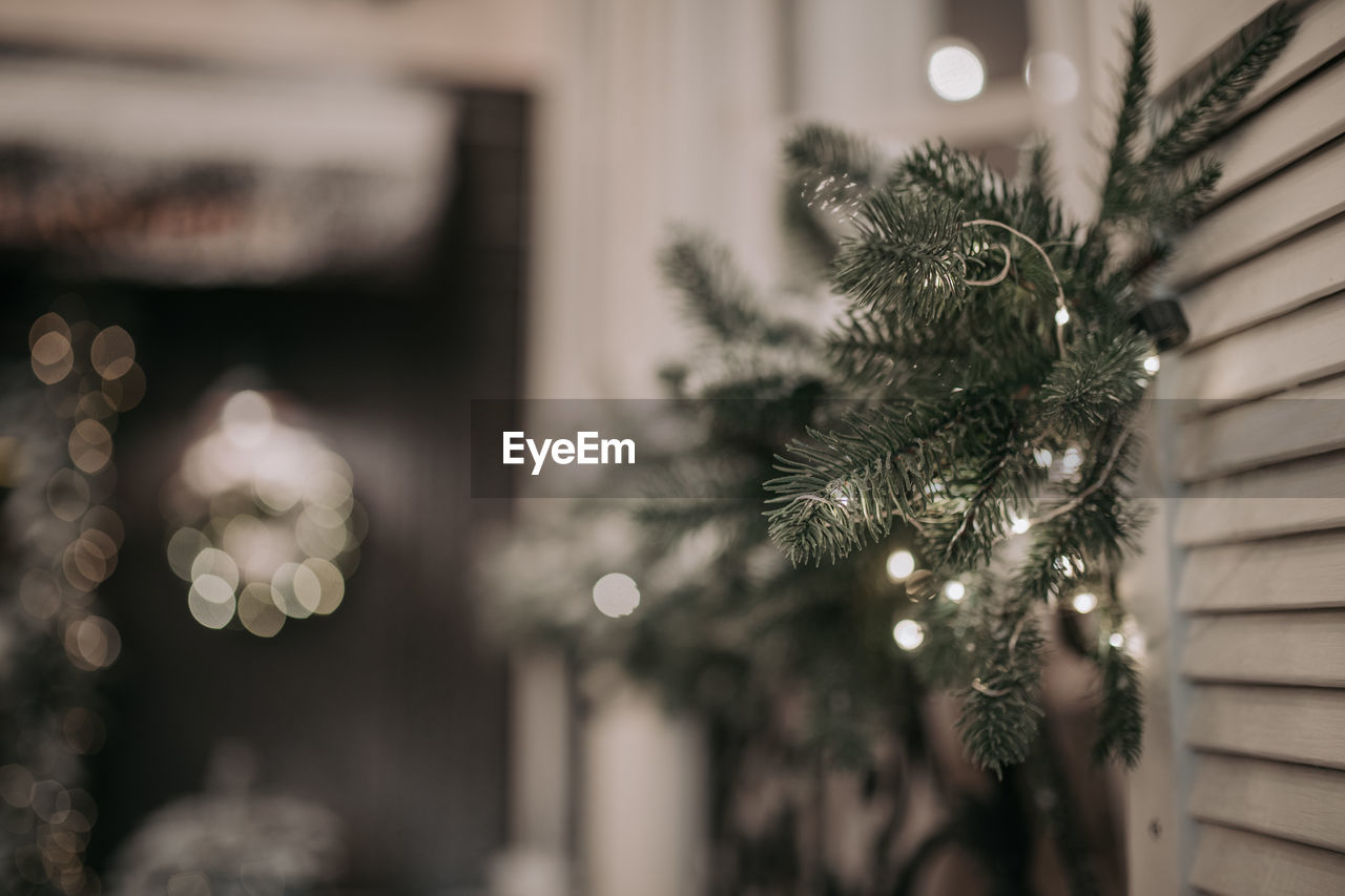 Close-up of illuminated christmas tree