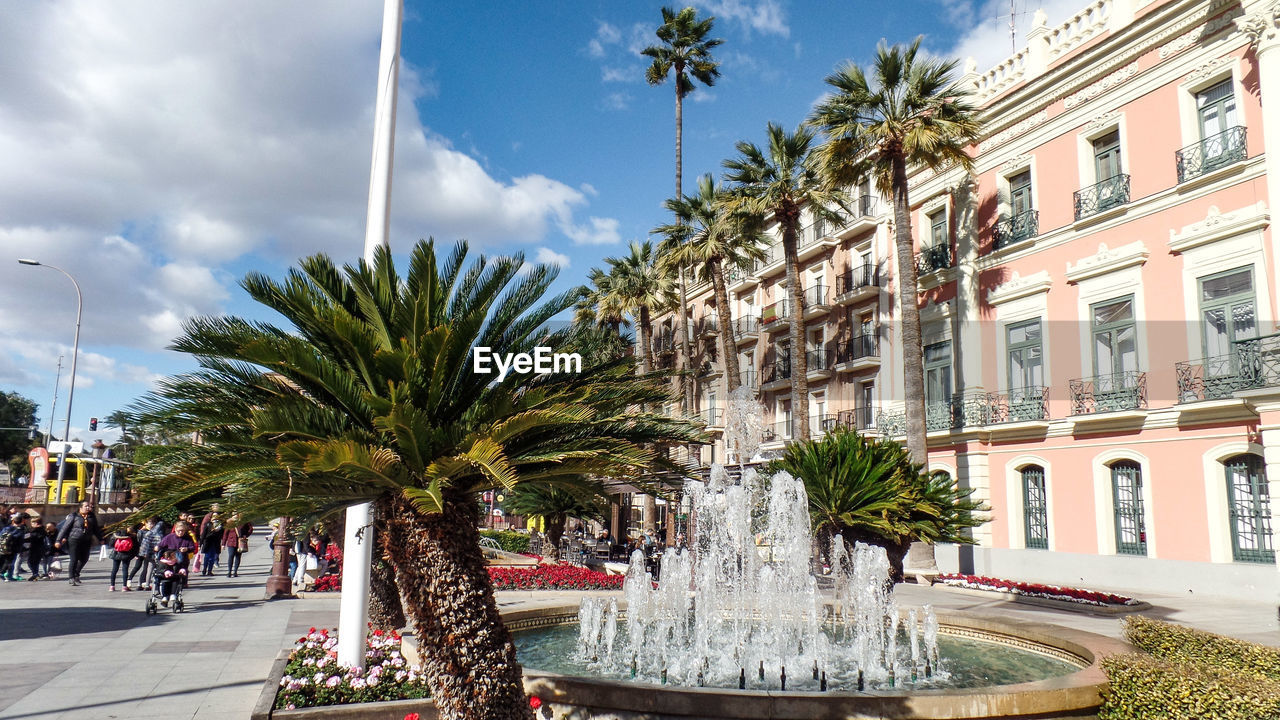 PALM TREES AND BUILDINGS IN CITY