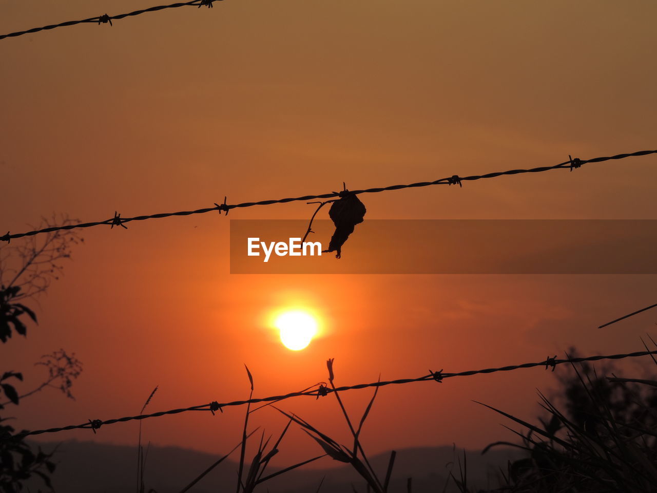 Silhouette of barbed wire against sky during sunset