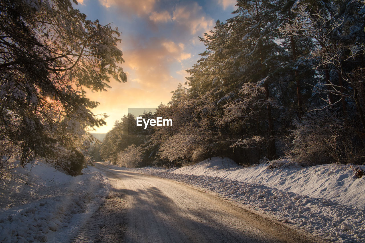 SNOW COVERED ROAD AMIDST TREES AGAINST SKY DURING SUNSET