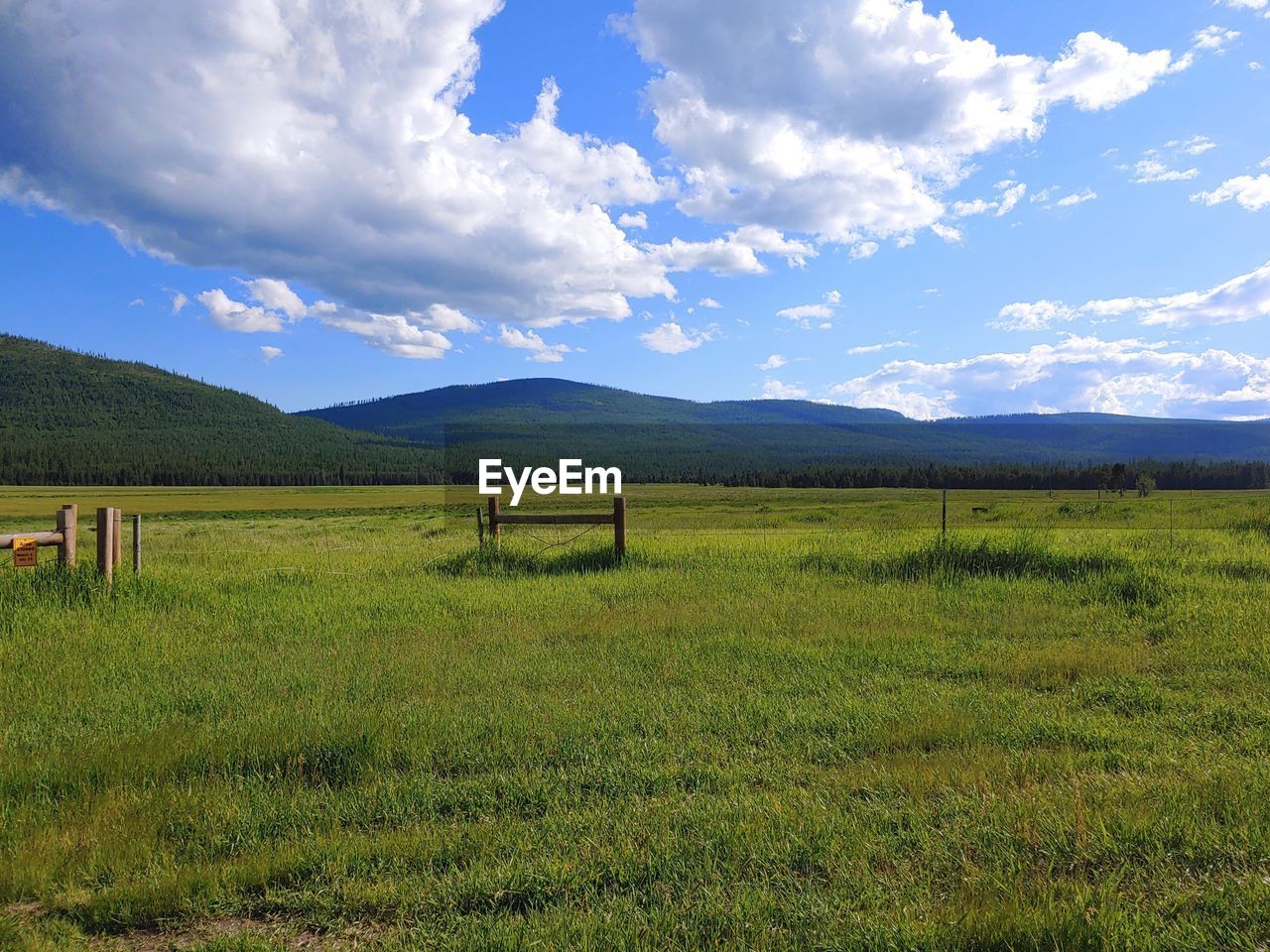 Scenic view of field against sky