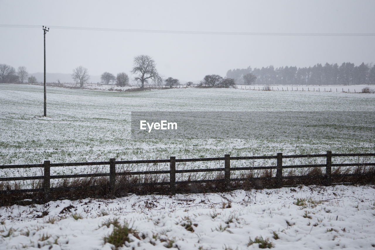 Scenic view of field during winter