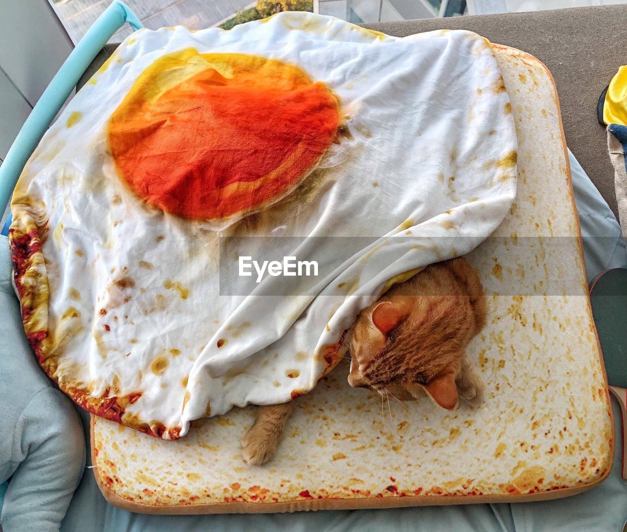 Cat sleeping on bread pattern mattress