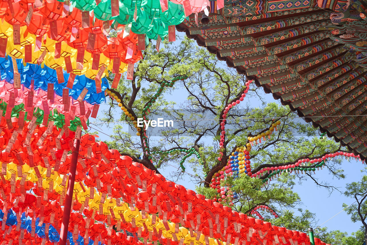 multi colored, low angle view, tradition, no people, architecture, built structure, temple - building, belief, day, decoration, flower, religion, hanging, red, plant, tree, nature, roof, spirituality, place of worship, pattern, outdoors, building, creativity, building exterior, lantern, celebration, chinese new year, sky, craft