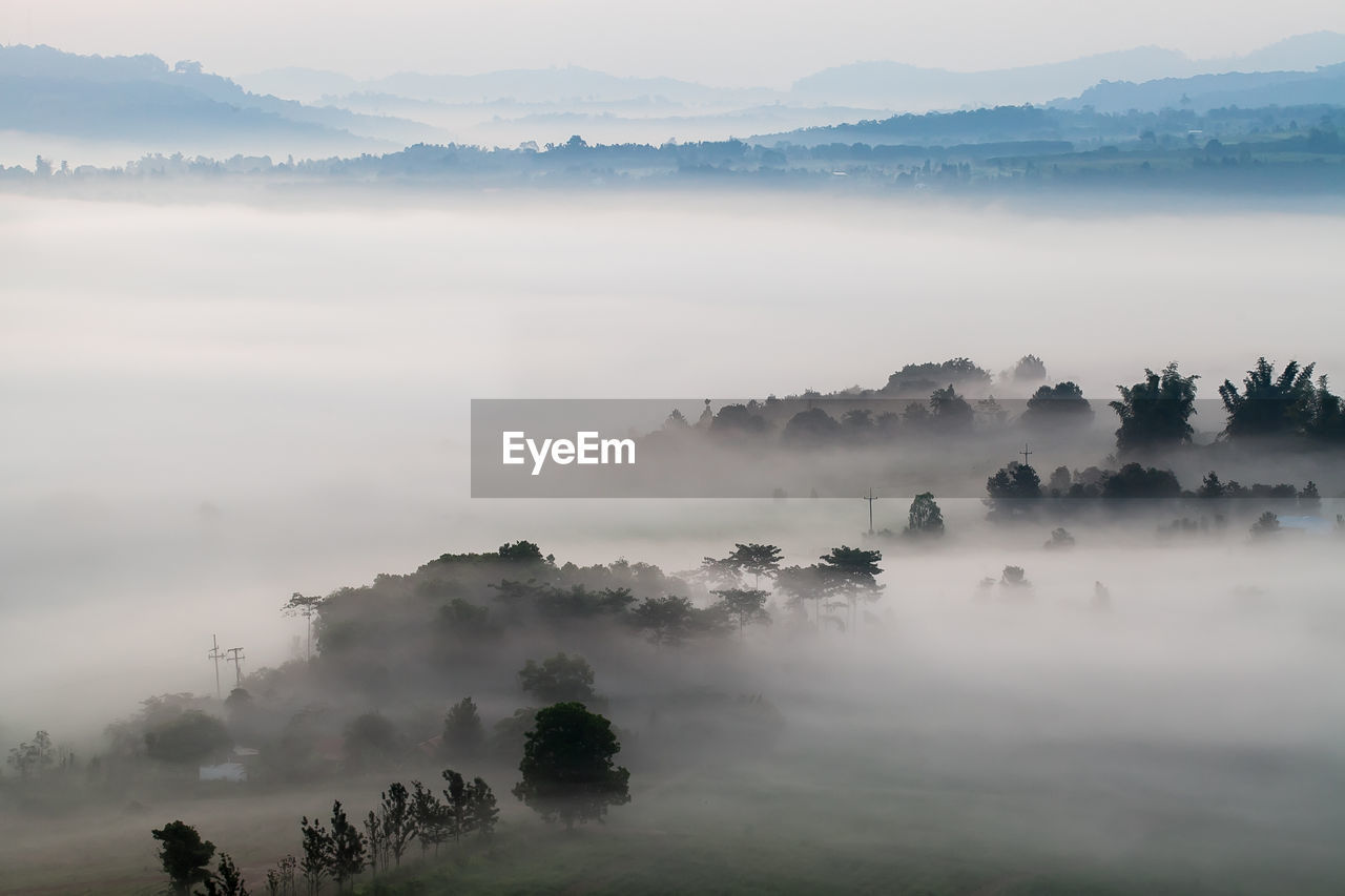 Scenic view of trees and mountains against sky