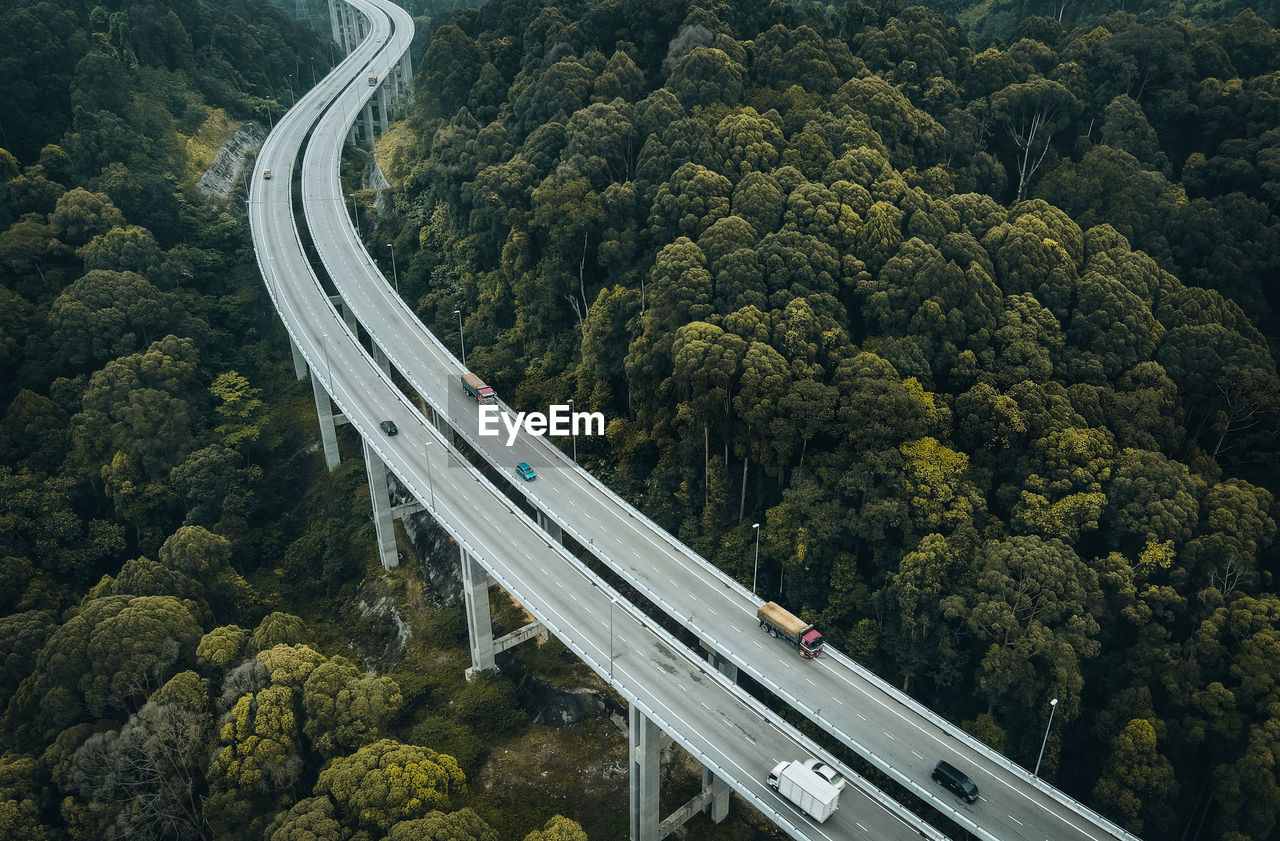 High angle view of airplane flying over trees