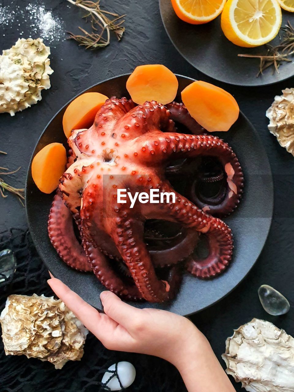 Freshly cooked octopus is lying on a black plate