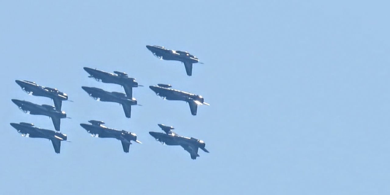 LOW ANGLE VIEW OF BIRDS FLYING IN THE SKY