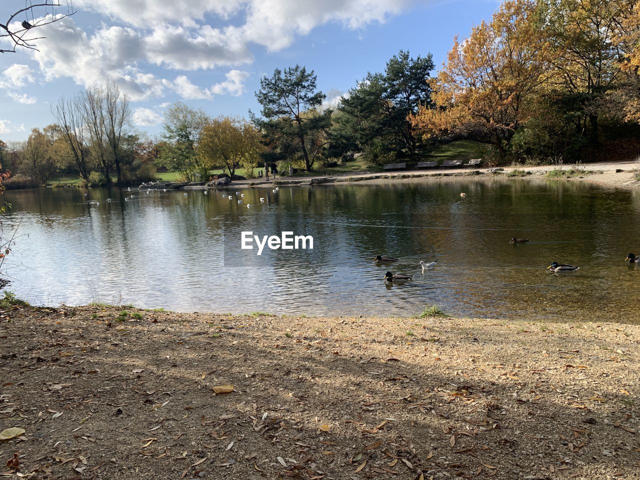 SCENIC VIEW OF LAKE WITH TREES IN BACKGROUND