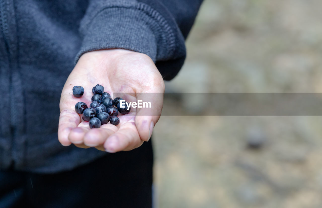 Midsection of person holding blueberries