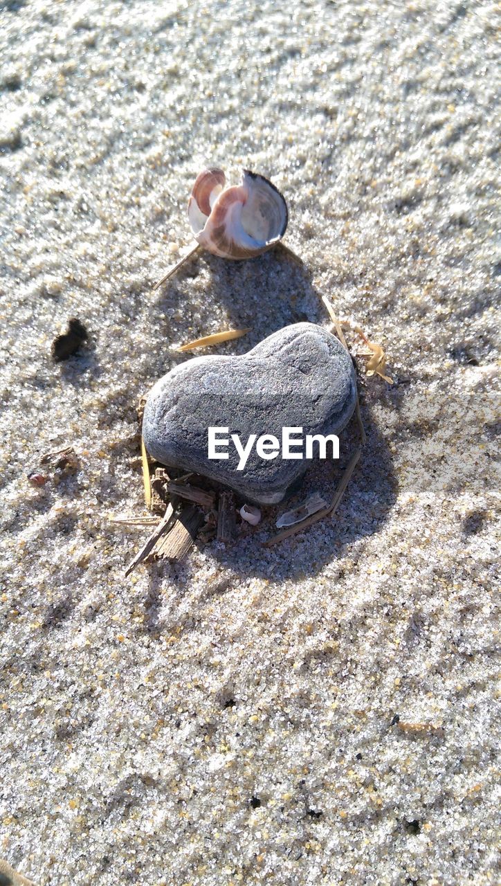 HIGH ANGLE VIEW OF MAN ON SAND AT BEACH