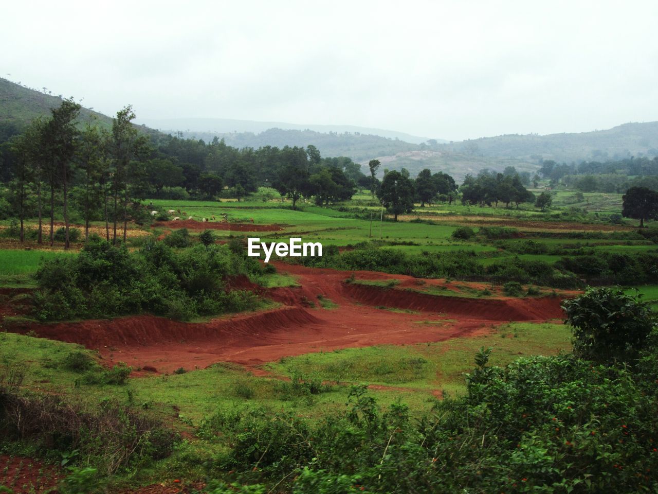 SCENIC VIEW OF RURAL LANDSCAPE