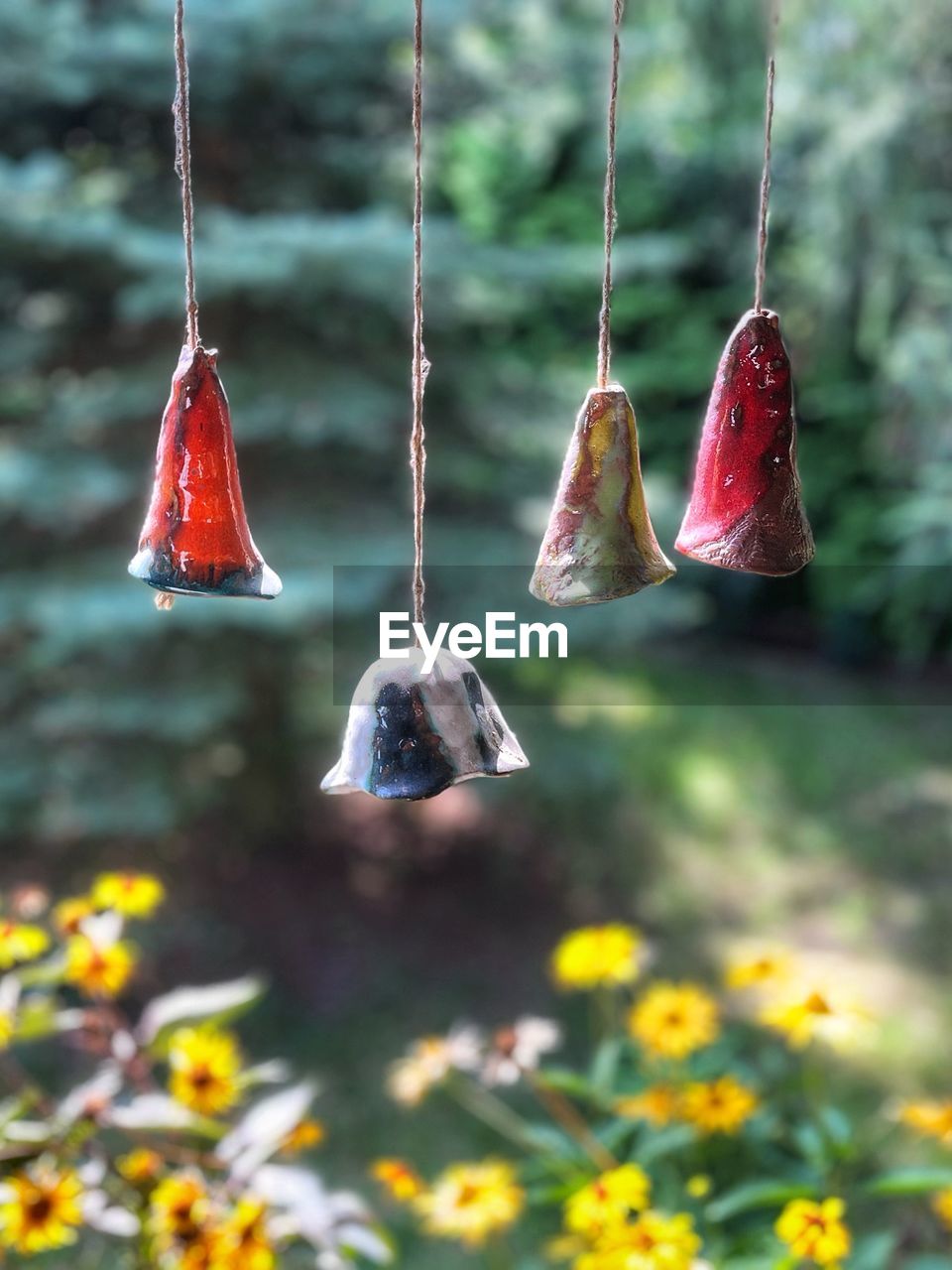 hanging, flower, nature, plant, no people, leaf, focus on foreground, day, bird feeder, outdoors, swing, tree, autumn, close-up, rope, beauty in nature, animal