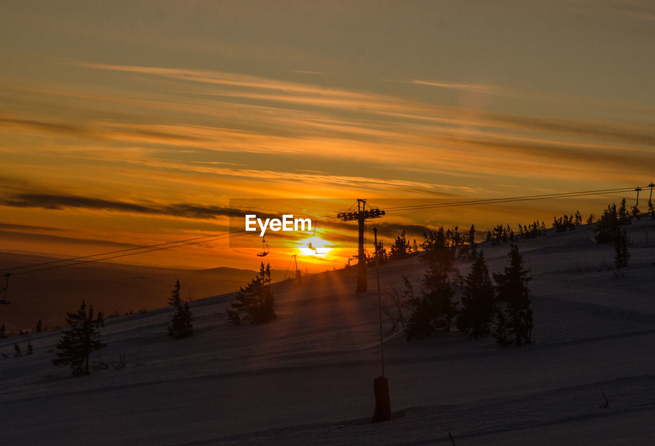 Silhouette trees on snow covered land against sky during sunset. skiing in the sunrise