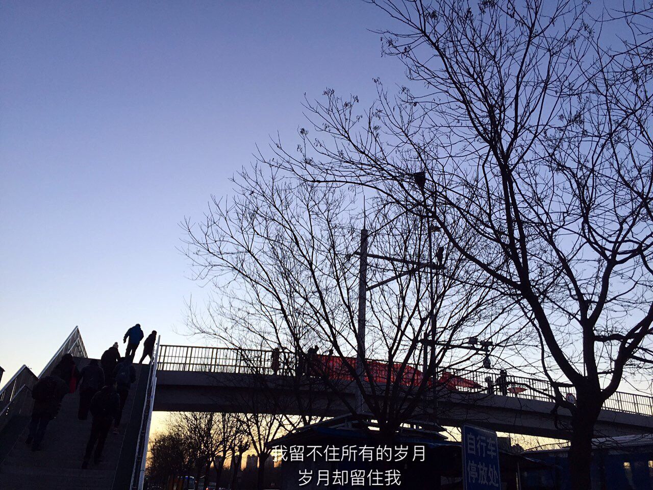 LOW ANGLE VIEW OF BARE TREE AGAINST CLEAR SKY