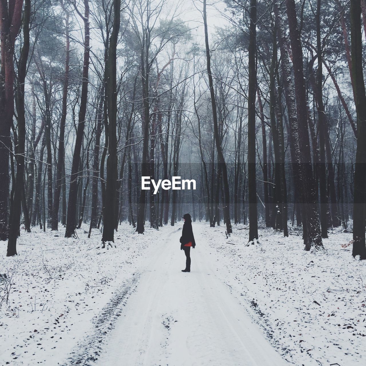 Woman against bare trees on snow covered landscape