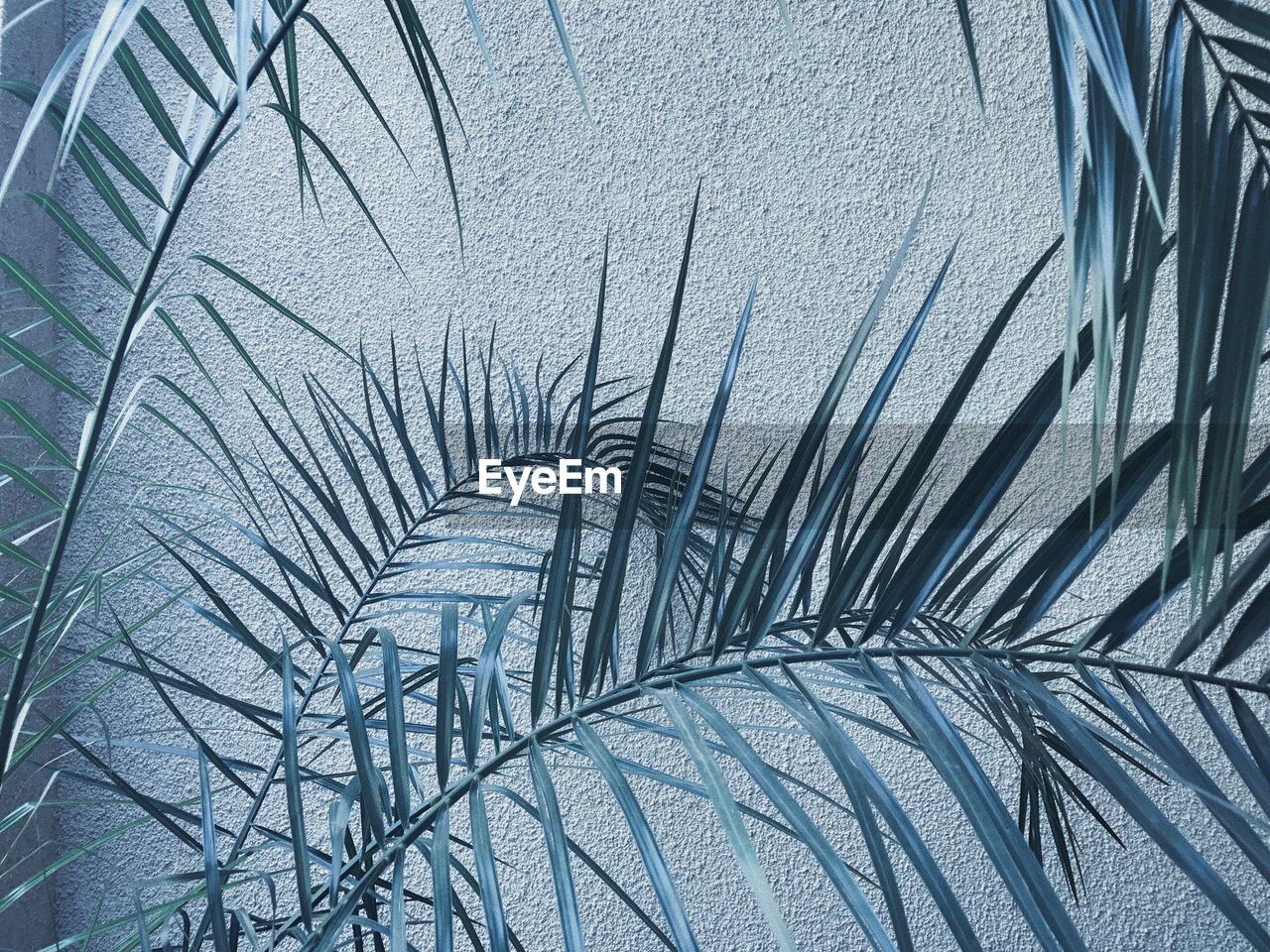 FULL FRAME SHOT OF PATTERN