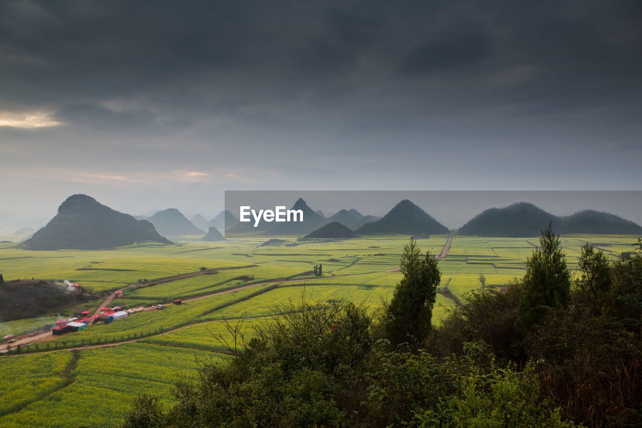 Scenic view of agricultural field against sky