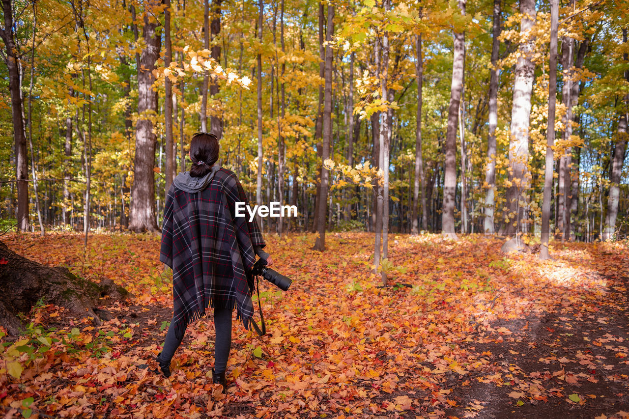 Rear view of woman holding digital camera while standing in forest during autumn