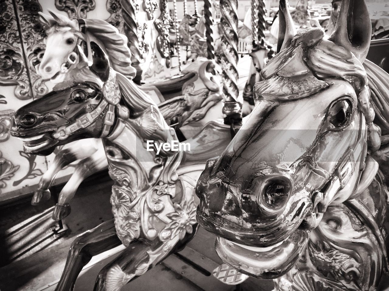 Carousel horses in amusement park