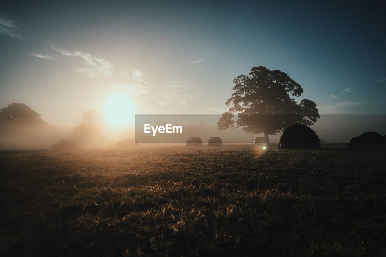 Scenic view of field against sky in foggy weather