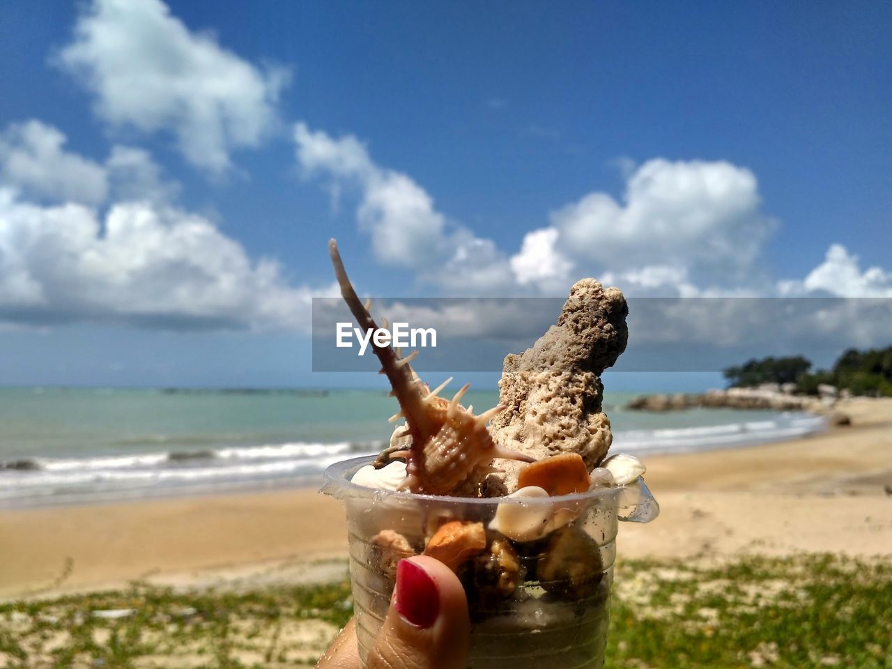 Cropped hand holding glass with shells at beach on sunny day