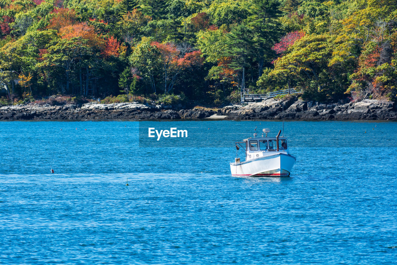 SCENIC VIEW OF SEA AGAINST TREES