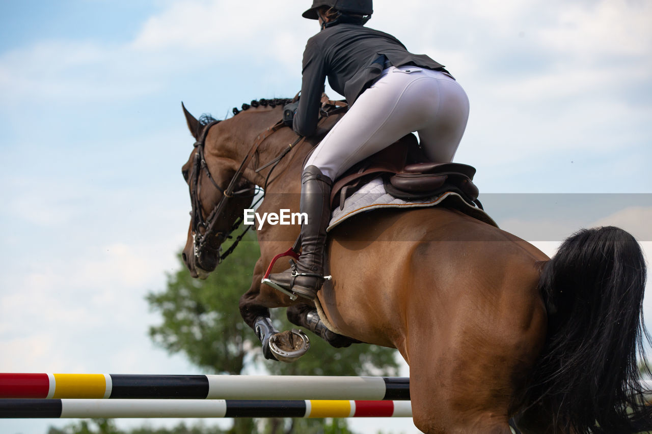 Horse jumping, equestrian sports, show jumping competition themed photograph.