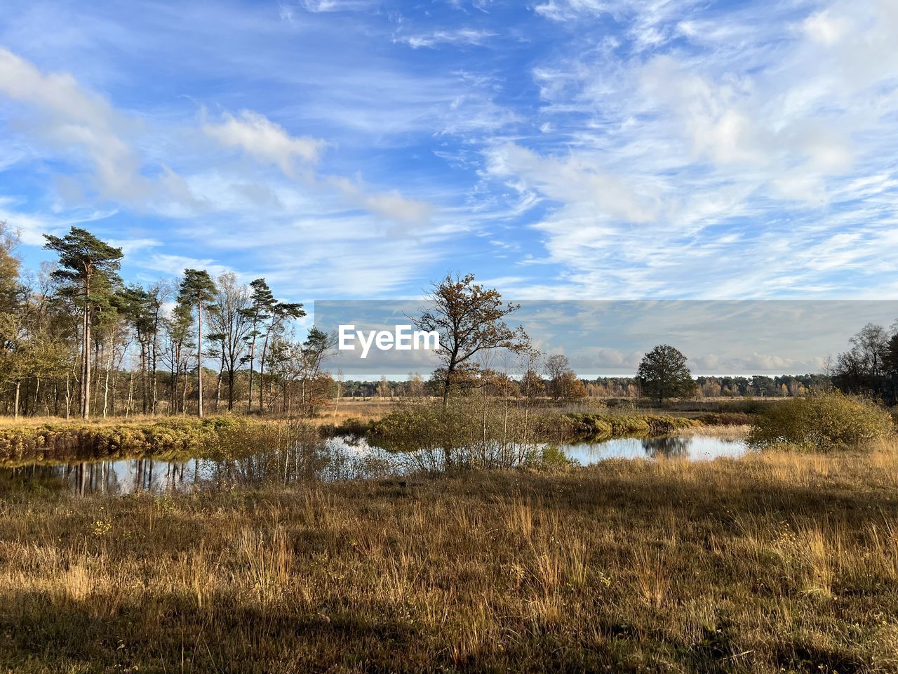 plant, sky, nature, landscape, tree, grass, environment, cloud, natural environment, scenics - nature, rural area, wilderness, beauty in nature, land, no people, reflection, tranquility, wetland, tranquil scene, prairie, field, water, non-urban scene, hill, meadow, outdoors, day, horizon, growth, marsh, blue, grassland, rural scene
