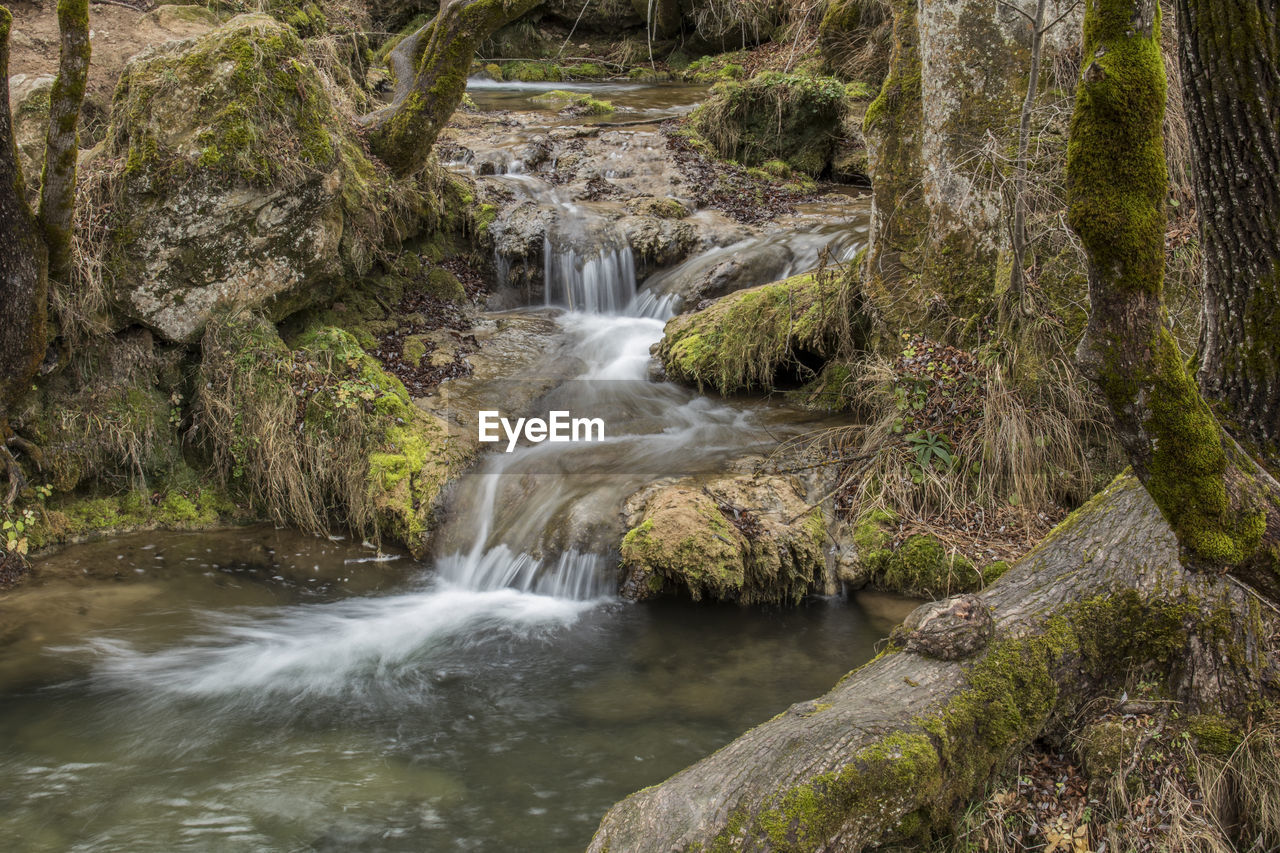 Stream flowing through rocks in forest