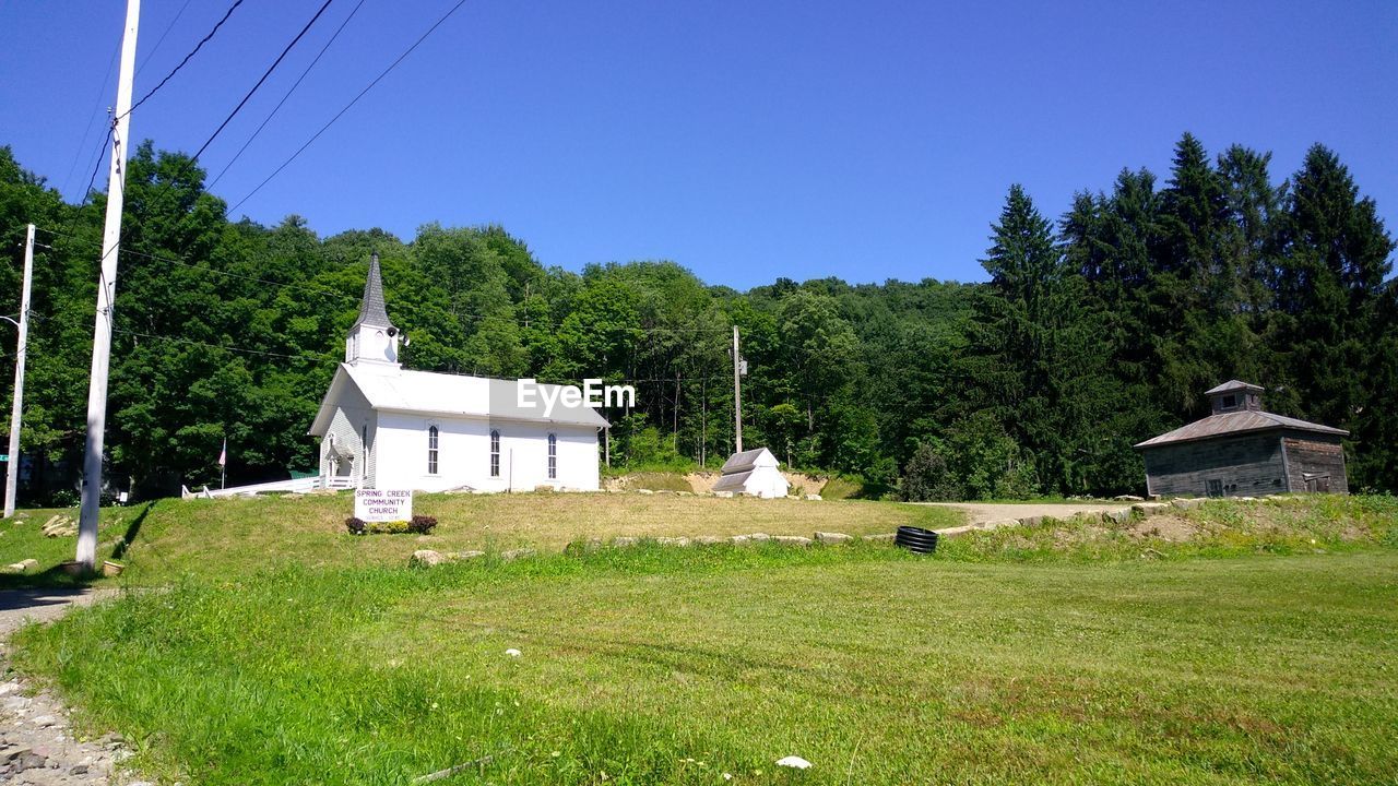 SCENIC VIEW OF TREES AND HOUSES AGAINST CLEAR SKY