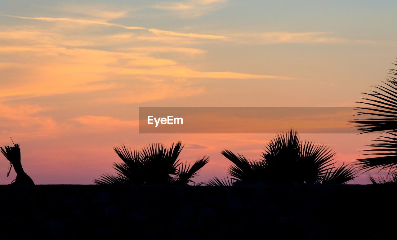 Silhouette palm trees against sky during sunset