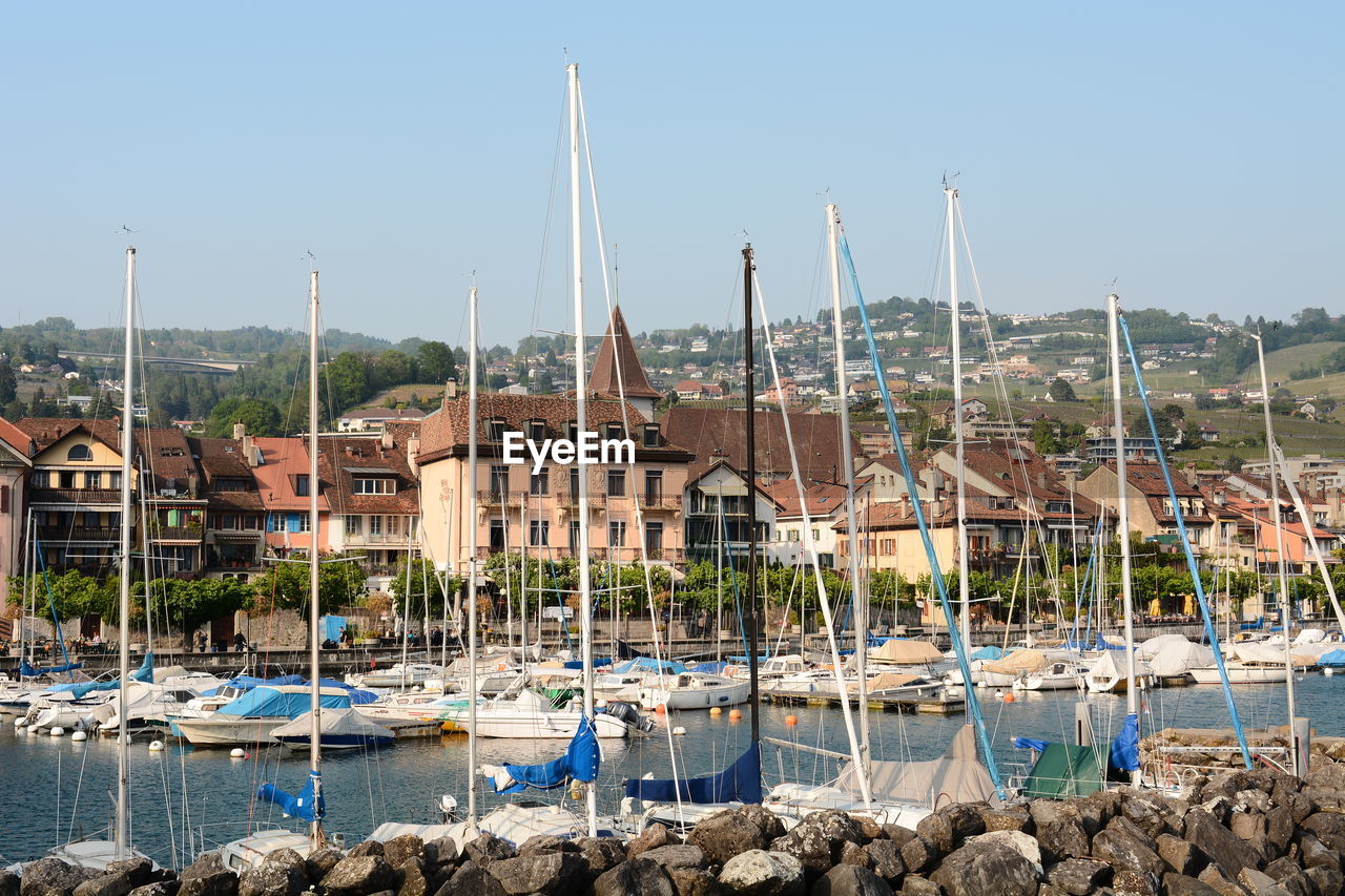 Sailboats moored in harbor