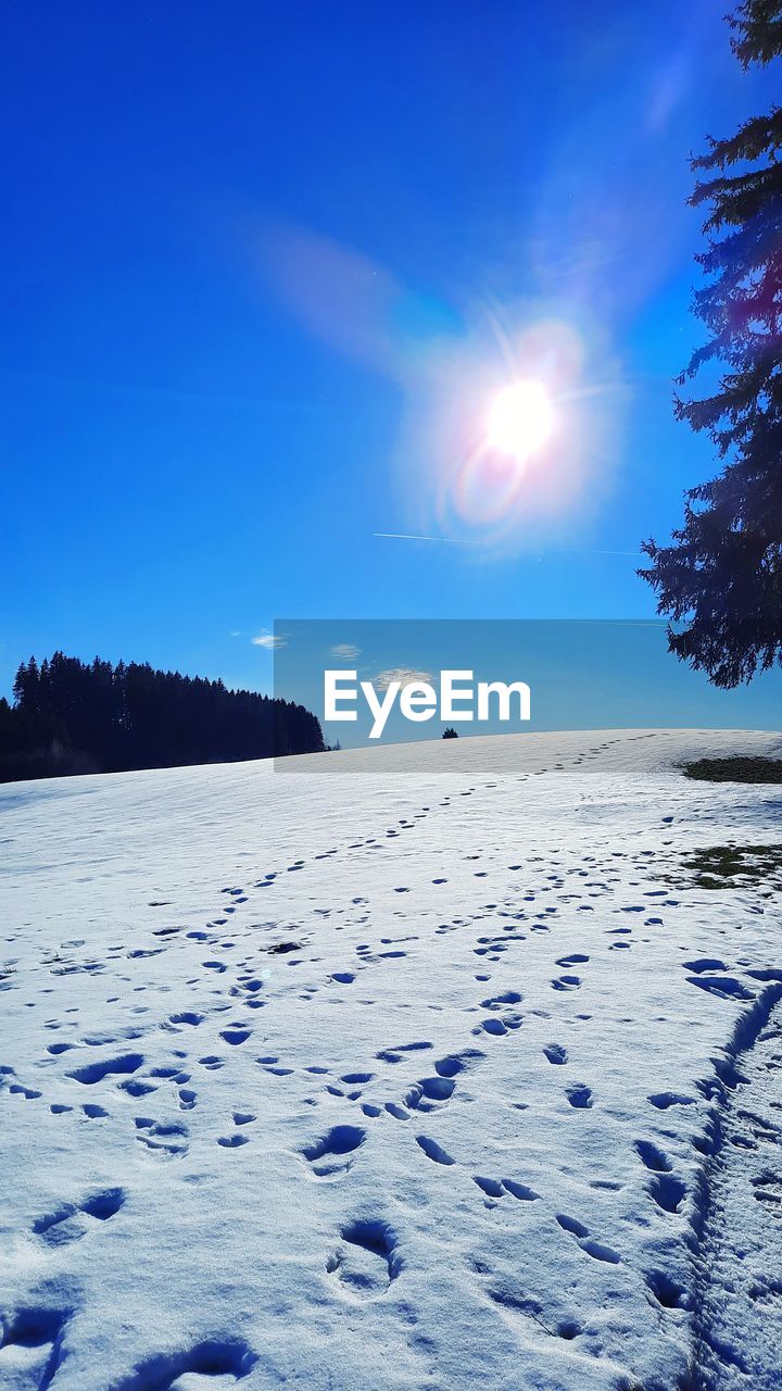 sky, snow, cold temperature, winter, scenics - nature, nature, beauty in nature, blue, environment, landscape, tree, land, tranquility, tranquil scene, sunlight, frozen, sun, plant, no people, ice, reflection, horizon, freezing, water, cloud, white, non-urban scene, clear sky, outdoors, coniferous tree, idyllic, sunset, forest, mountain, lens flare, sea, pine tree, day, pinaceae, travel destinations, travel, polar climate, dusk, sunny