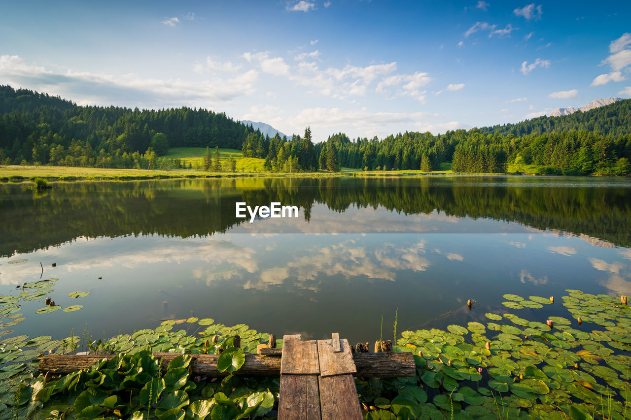 SCENIC VIEW OF LAKE AND TREES AGAINST SKY