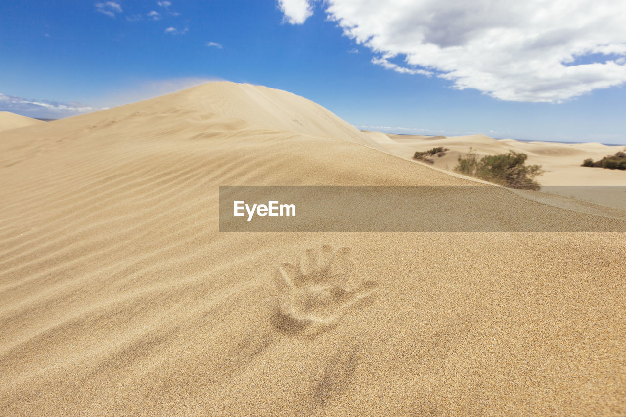 SCENIC VIEW OF SAND DUNES AGAINST SKY