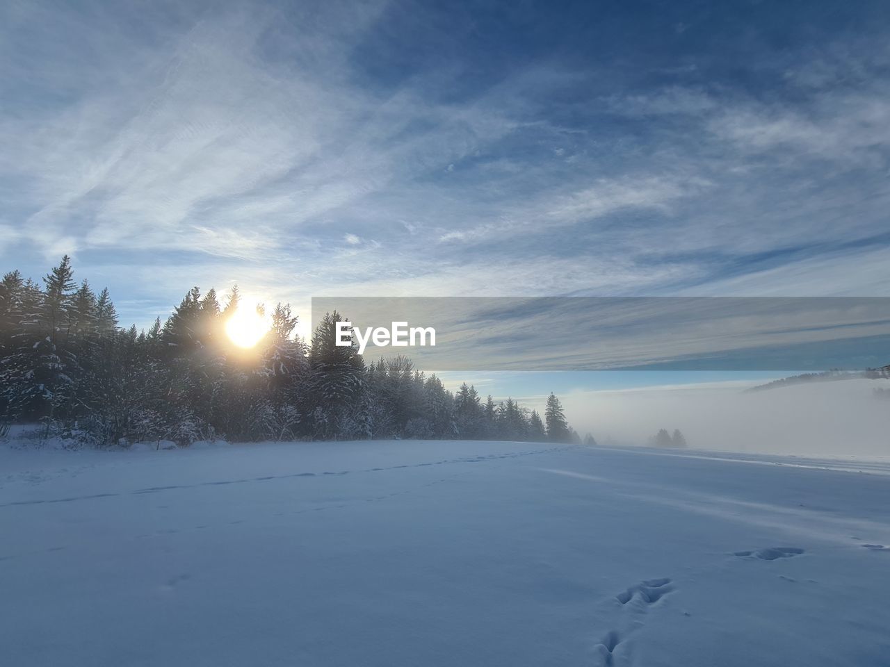 TREES ON SNOW COVERED LANDSCAPE AGAINST SKY