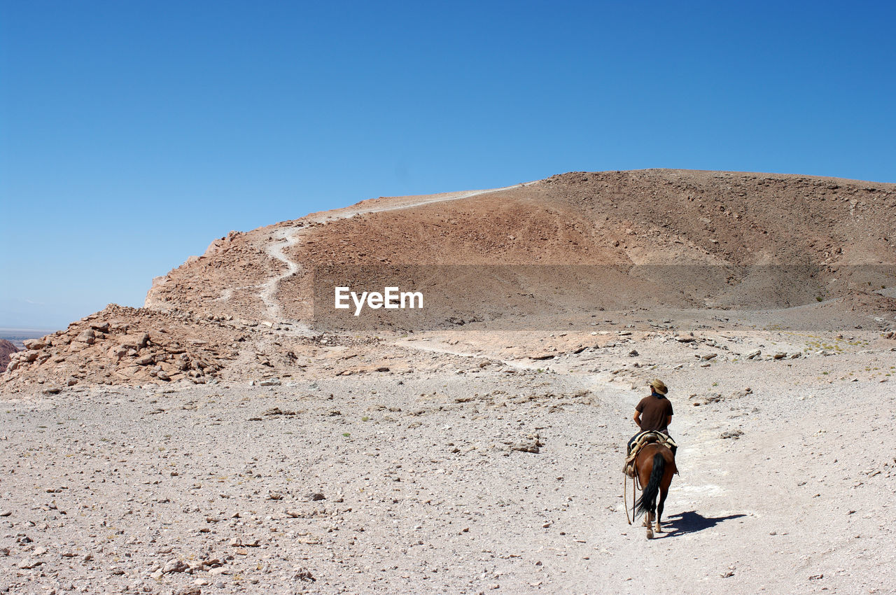 Rear view of man riding horse at desert