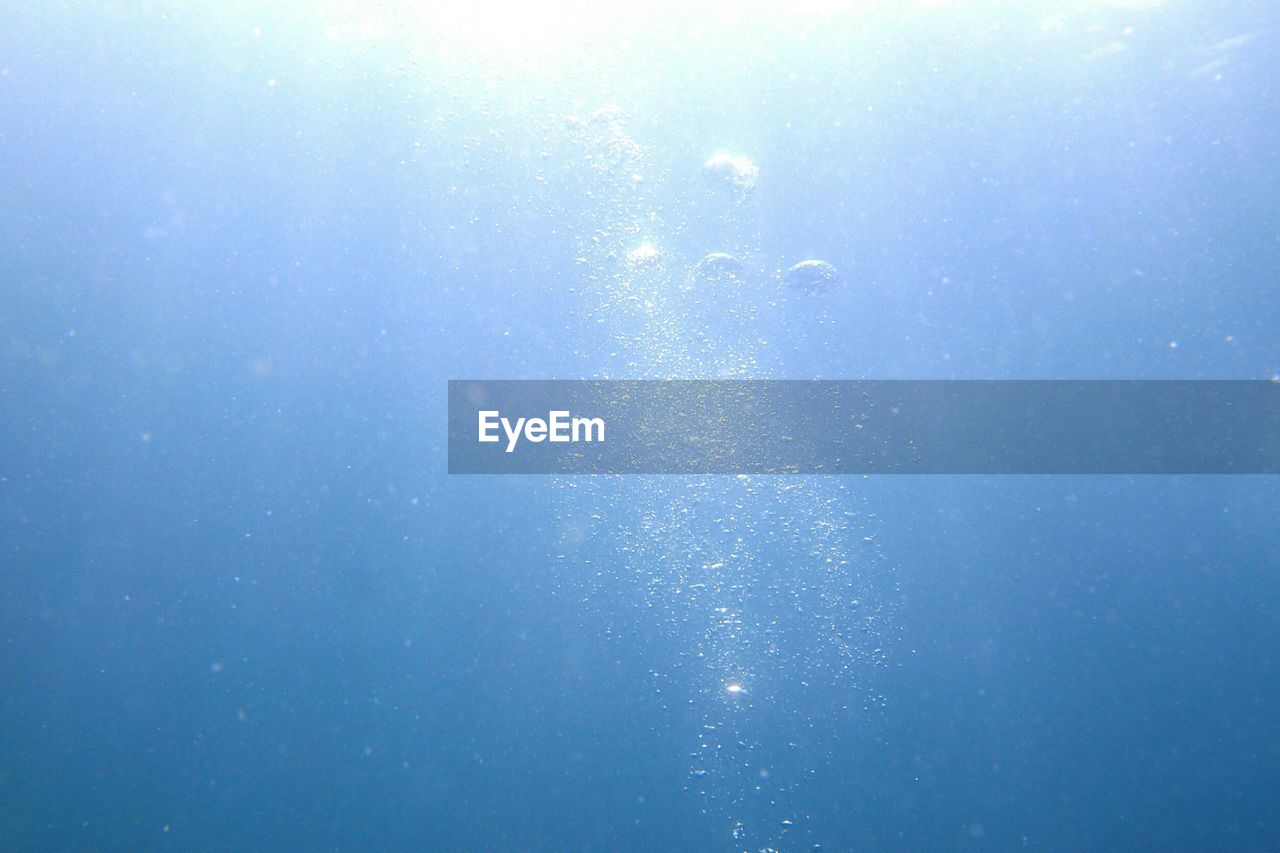 LOW ANGLE VIEW OF JELLYFISH IN SEA AGAINST BLUE SKY