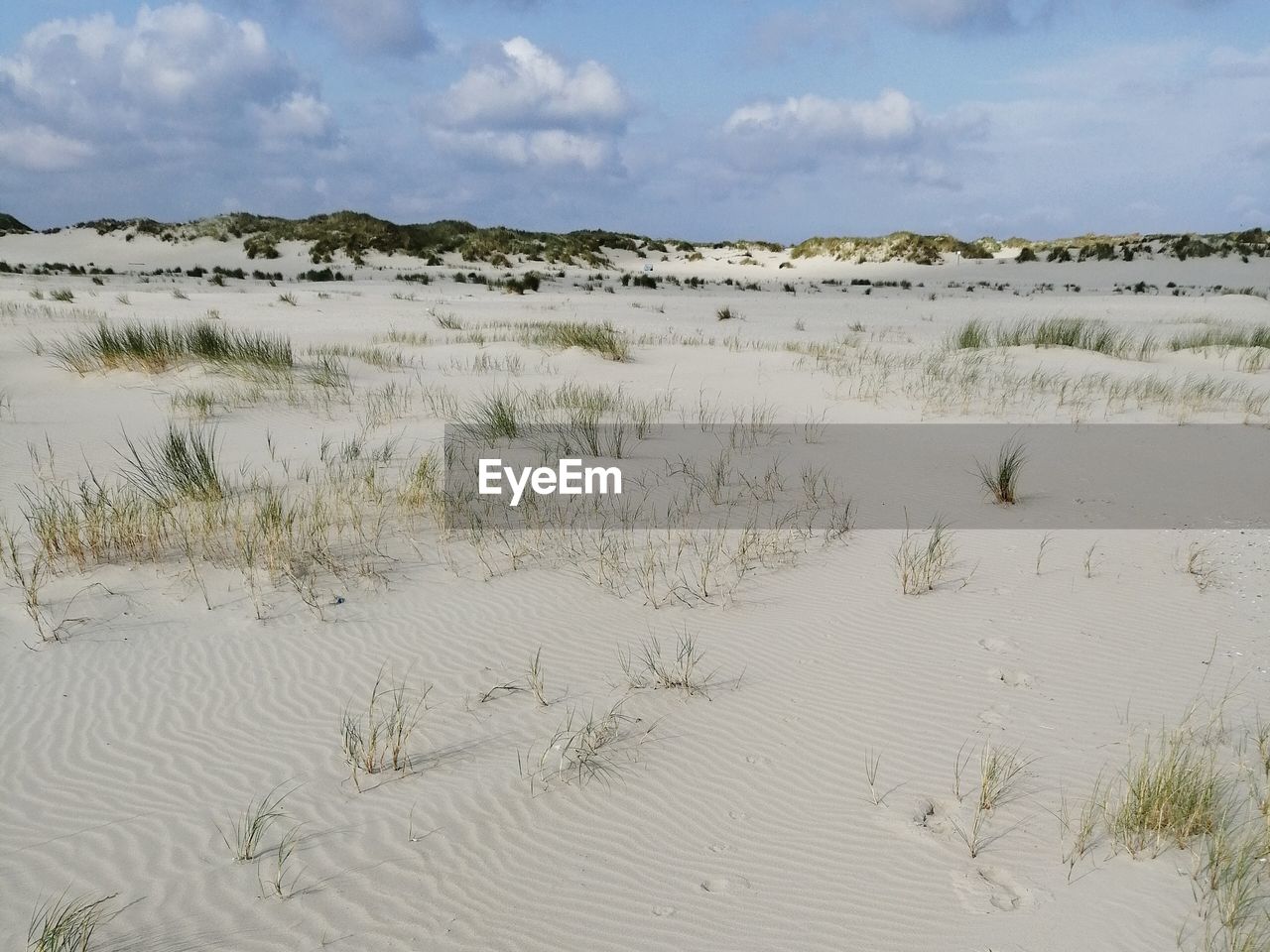 Scenic view of desert against sky