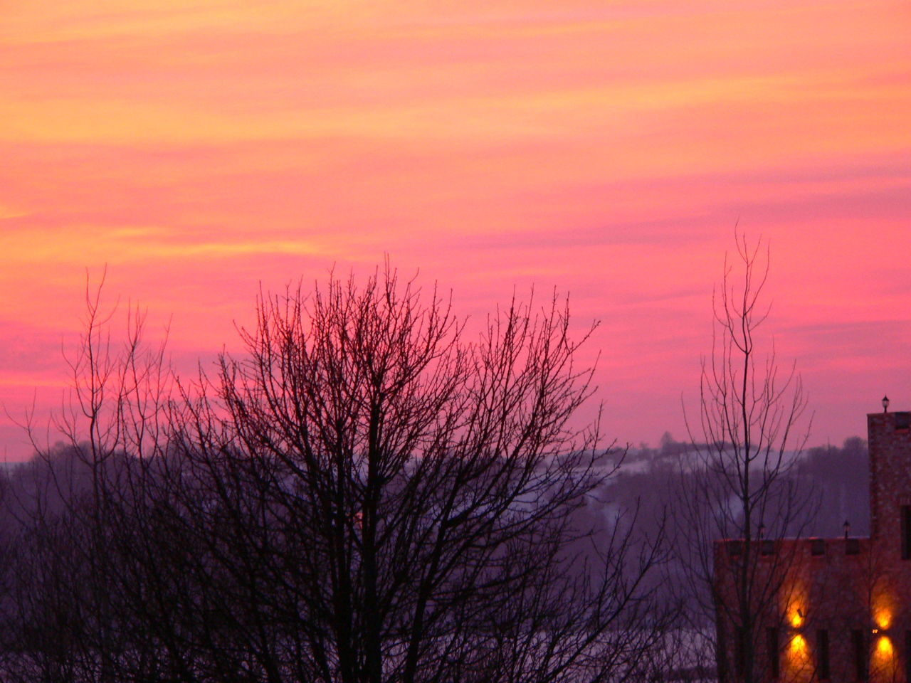 SILHOUETTE TREES AGAINST ORANGE SKY DURING SUNSET