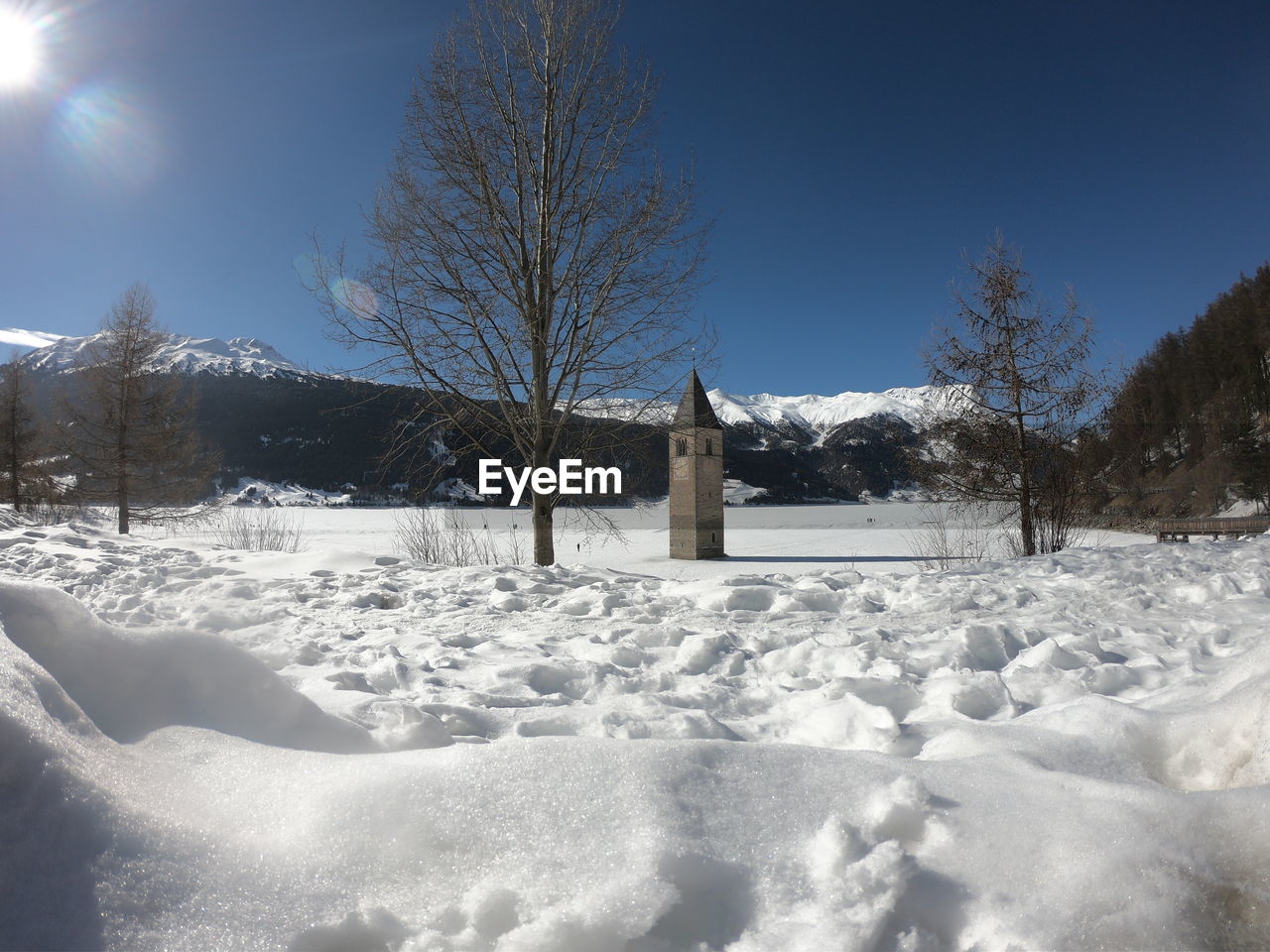 BARE TREES ON SNOW COVERED LANDSCAPE AGAINST CLEAR SKY