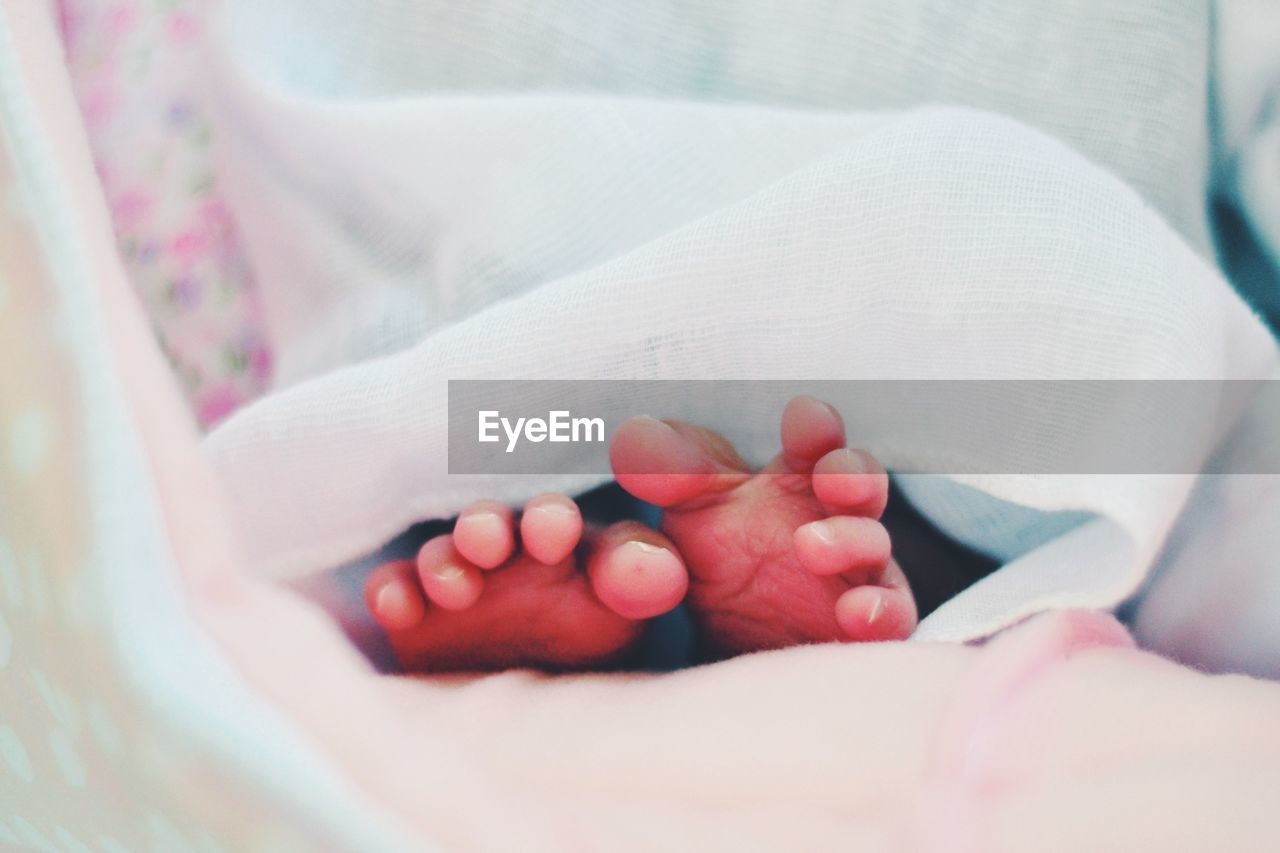 Close-up of baby feet